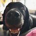 Ellen Elijah - Facebook