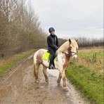 Ellen Elizabeth - Facebook