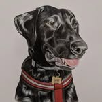 Ellen Elizabeth - @ellenelizabethart - Instagram