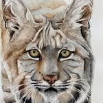 Ellen Elizabeth Watercolors - @ellenelizabethwatercolors - Instagram