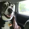 Ellen Elliott - @elliebug63 - TikTok