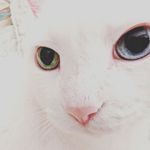 Ellen Engle Novy - @emn102 - Instagram