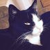 Ellen Engler - Facebook