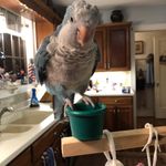 Ellen Englert - @englert6117 - Instagram