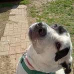 Ellen English - Facebook