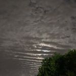 Ellen Enright - @ellen37812 - Instagram