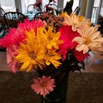Kerry Ellen Enright - @kerryellenenright - Instagram