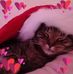 Ellen Ernst - Facebook