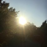 Ellen.stjernstrom - @ellen.stjernstrom - Instagram