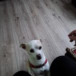 Geke Ellen-Ernst - @gekeellenernst - Instagram