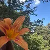 Ellen⭐️ - @ellen_schillinger - TikTok
