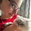 ellen evans - @iloveparishilton1444 - TikTok