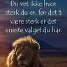 Ellen Frida Falkvard - @ellenfalkvard - TikTok