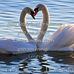 Ellen Fanning - Facebook