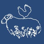 Ellen Firth - Farmer and Florist - @firthflockflowers - Instagram
