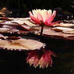 Ellen Ferris - @emf500 - Instagram
