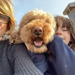Ellen Ferris - @ebferris - Instagram