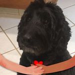 Mary Ellen Ferris - @ferrismaryellen - Instagram
