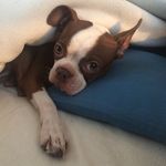 ellen finnegan - @ellenfinnegan - Instagram