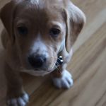 Sue-ellen Finnegan - @finnegansueellen - Instagram