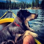Ellen Fishburn - @fishburnellen - Instagram