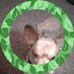 Ellen Fisk - Facebook