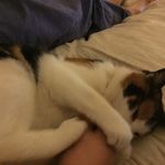 Ellen O Flaherty - @flahertyelleno - Instagram