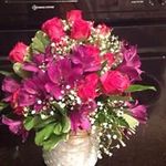 Mary Ellen Flaherty - @flahertymarye - Instagram