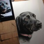Ellen Fleming - @ellen.fleming.7739 - Instagram
