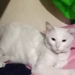 @ellen._flower - Instagram