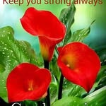 Ellen - @ellen.flowers - Instagram