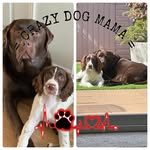 Ellen Flower - @ellenflower81 - Instagram