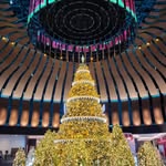 @ellenflower_ - Instagram