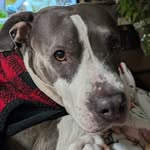 Ellen Foreman - @ellenf31 - Instagram
