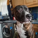 Ellen Murray - @ellenforstermurray - Instagram