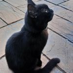 Ellen Frampton - @ellsie13 - Instagram