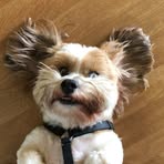Ellen Frazier - Facebook