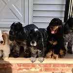 Ellen Fredericks - @ellenfredericks - Instagram