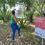 Ellen Freitas - Facebook