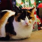 Mary Ellen Friend - @maryfriend4415 - Instagram