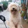 @ksa.lhen16 - @ellen.fuentes0 - TikTok