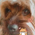Ellen Gabriele - @br4zilli4n._.girlx - Instagram