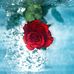 Ellen Gabrieli - Facebook
