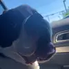 Ellen Ingalls - @ellen.ingalls - TikTok