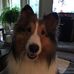 Mary Ellen Gallant - Facebook