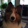Mary Ellen Gallant - @mary.ellen.gallan - TikTok