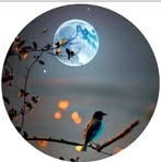 Ellen Gallardo - Facebook