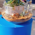 Ellen Gallegos Pruitt - @ellen.pruitt - Instagram