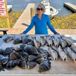 Ellen Gallo Jamieson - @galloellen - Instagram