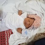 Ellen Joy Gallo - Facebook